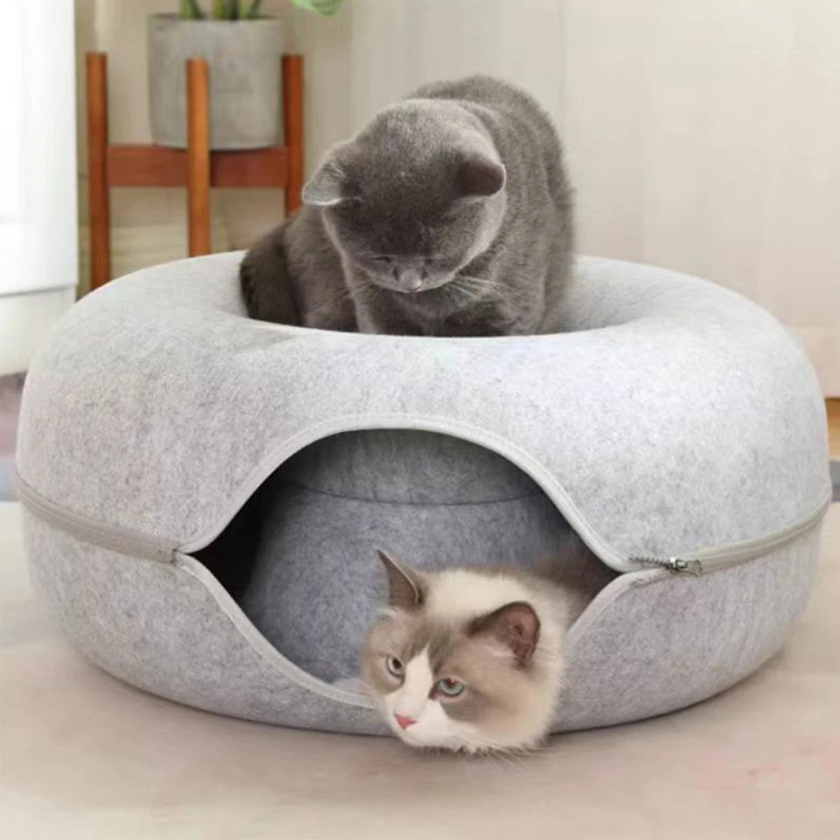 B-Tunnel Donut Cat